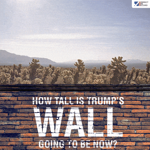 Wall 10 ft taller